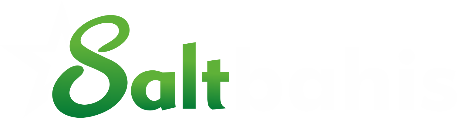 standart logo